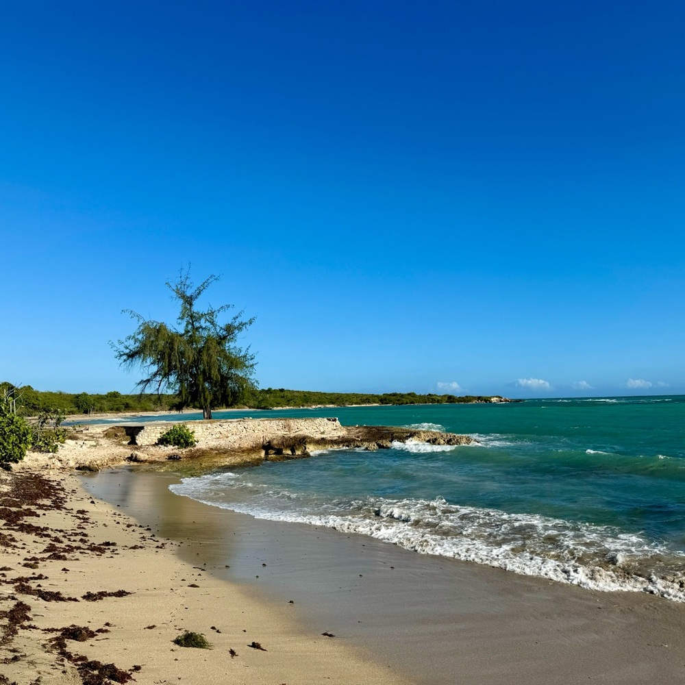 Meet your Posher, Norma